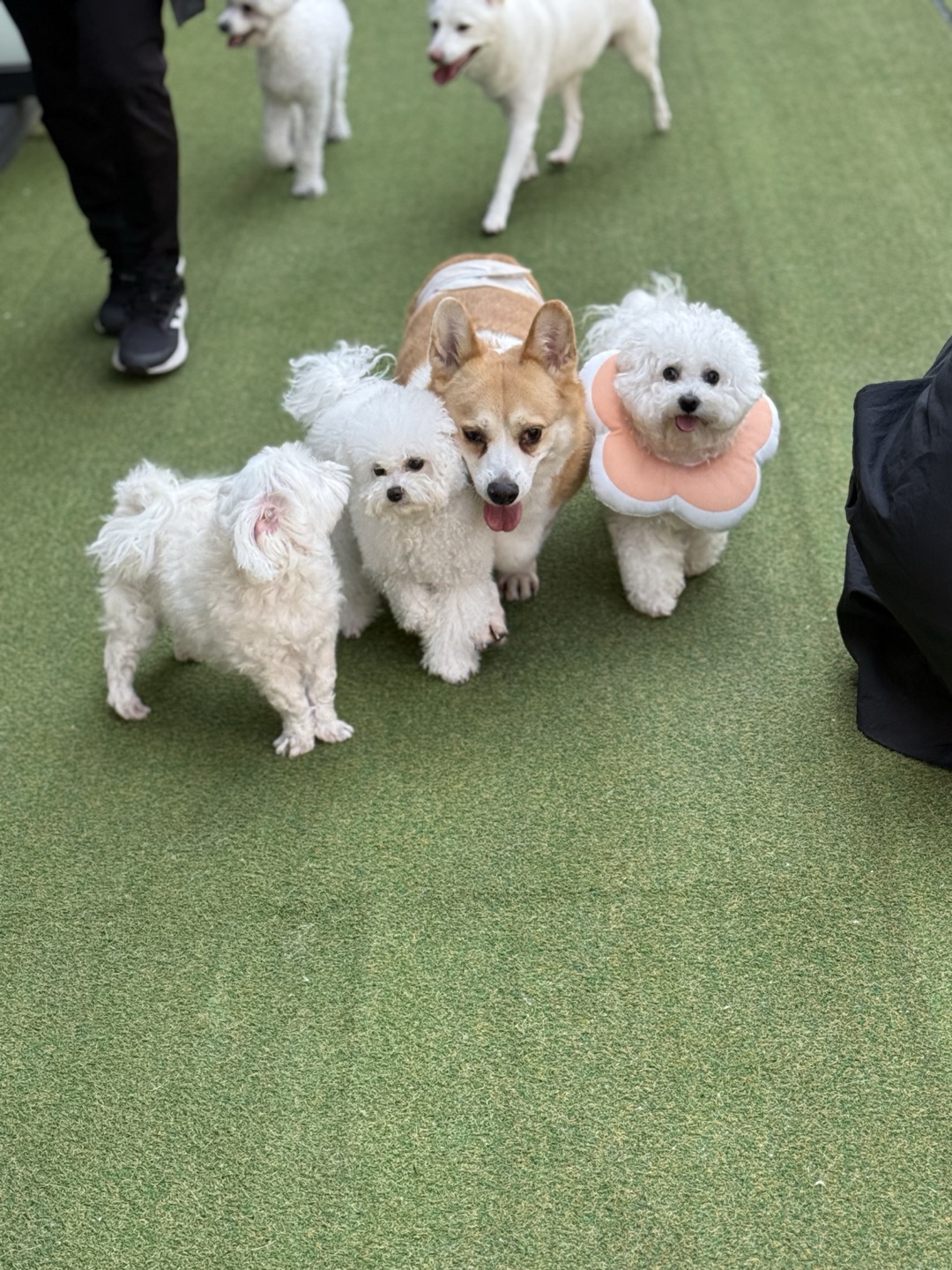 독크루 북구점 대표 이미지