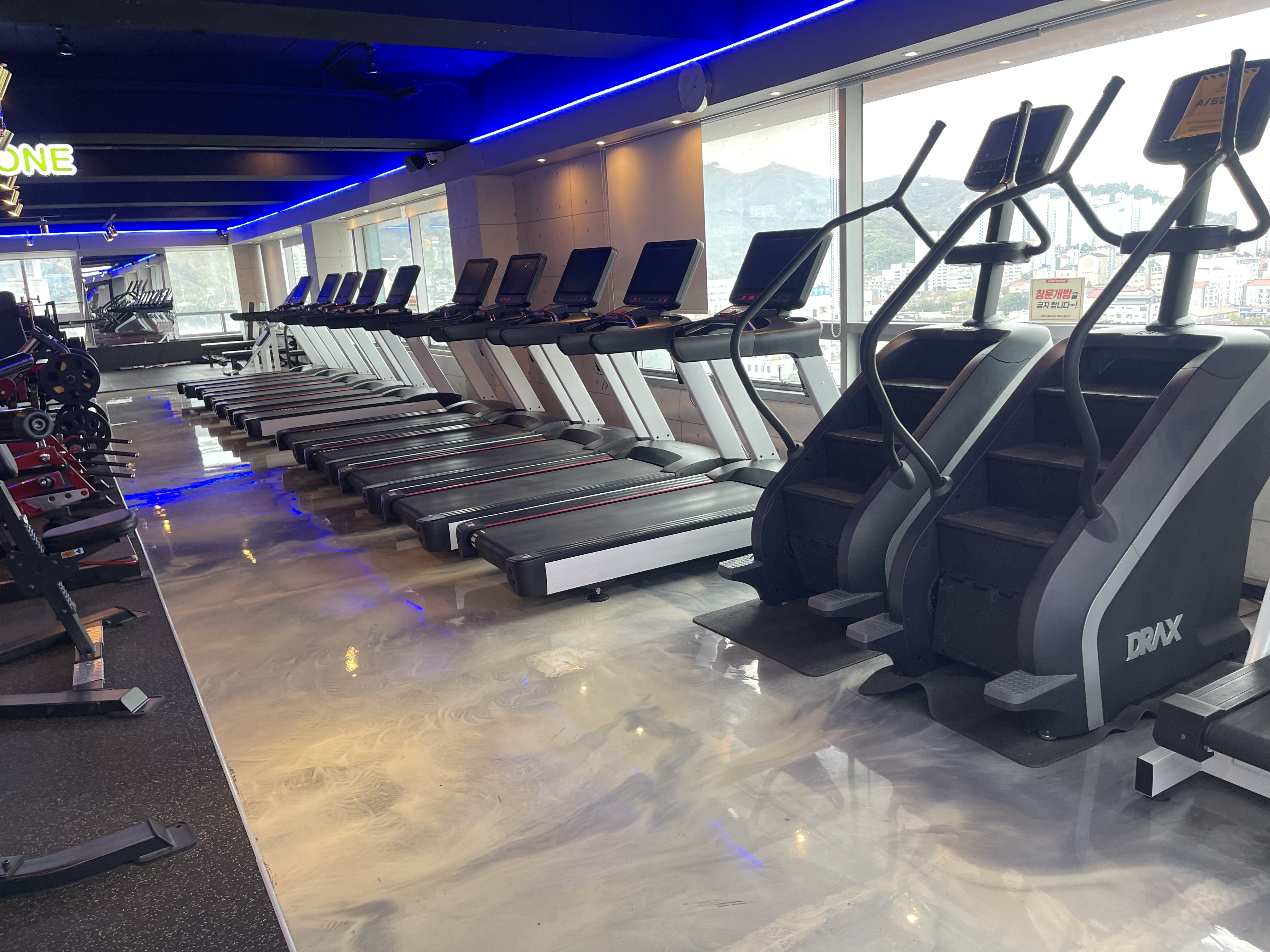 팀터틀랫 김해진영점 대표 이미지