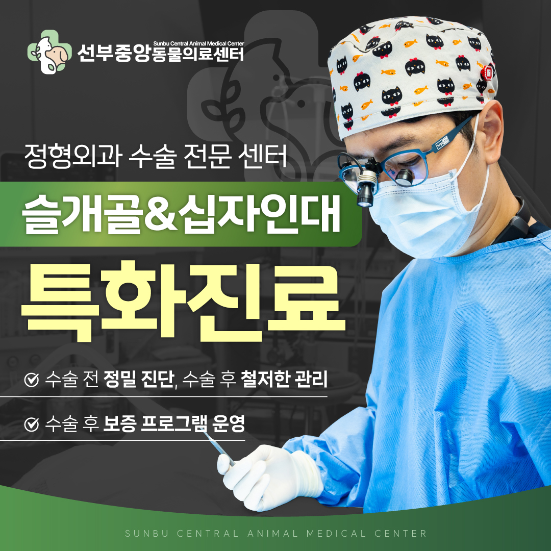 선부중앙동물의료센터