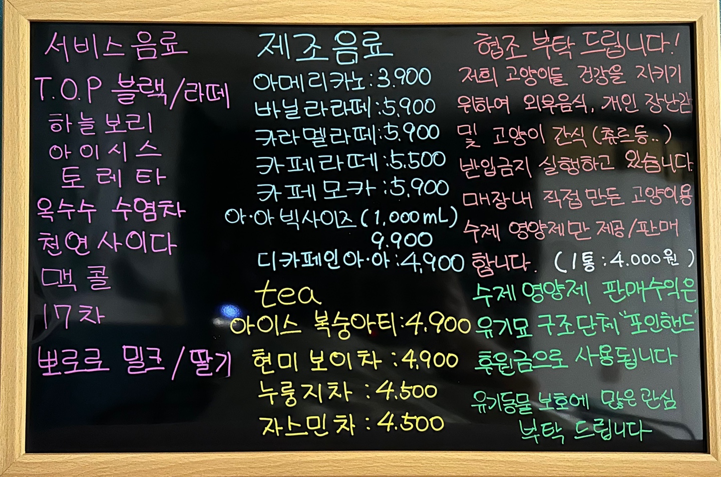 놀면묘하냥고양이카페