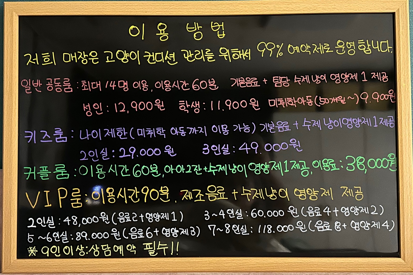 놀면묘하냥고양이카페