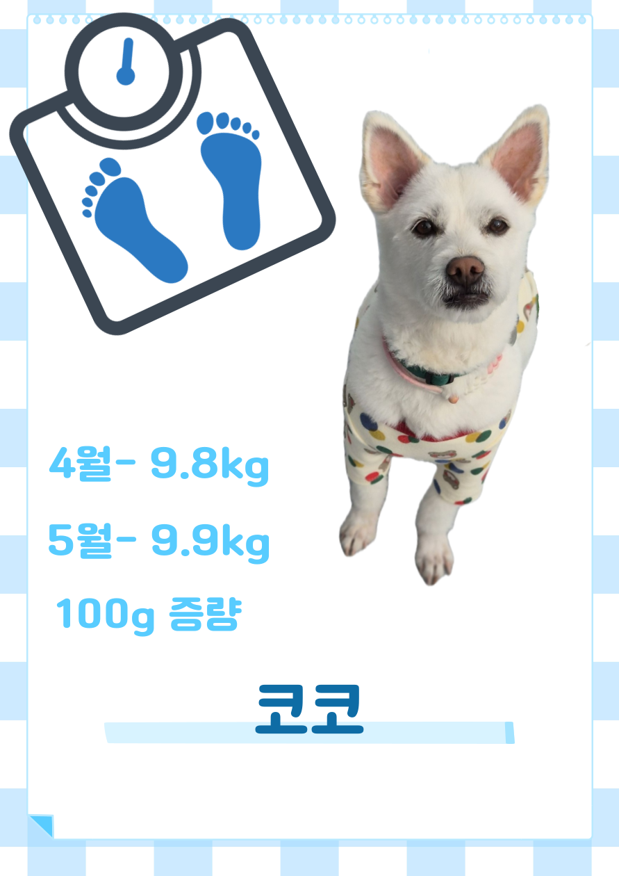 그르그르 대표 이미지