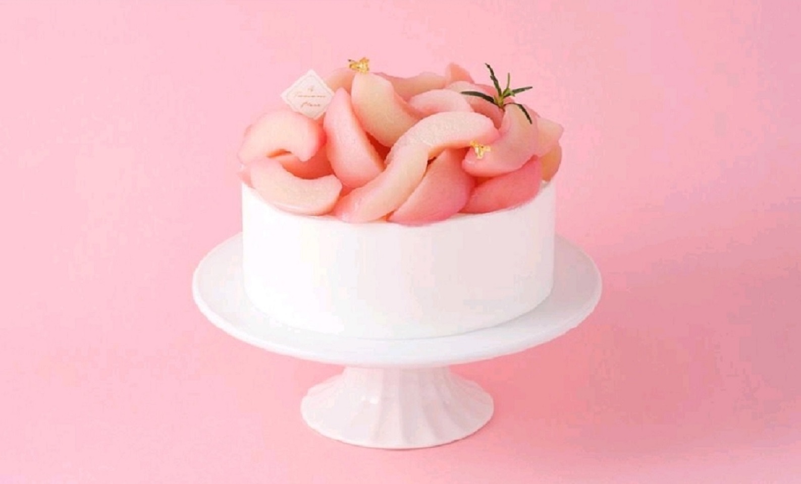 투썸플레이스 광명스마트타운점