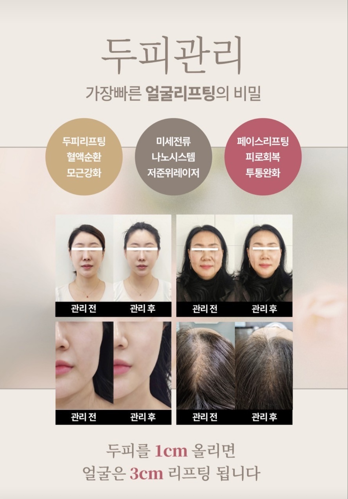더베르디 photo 7