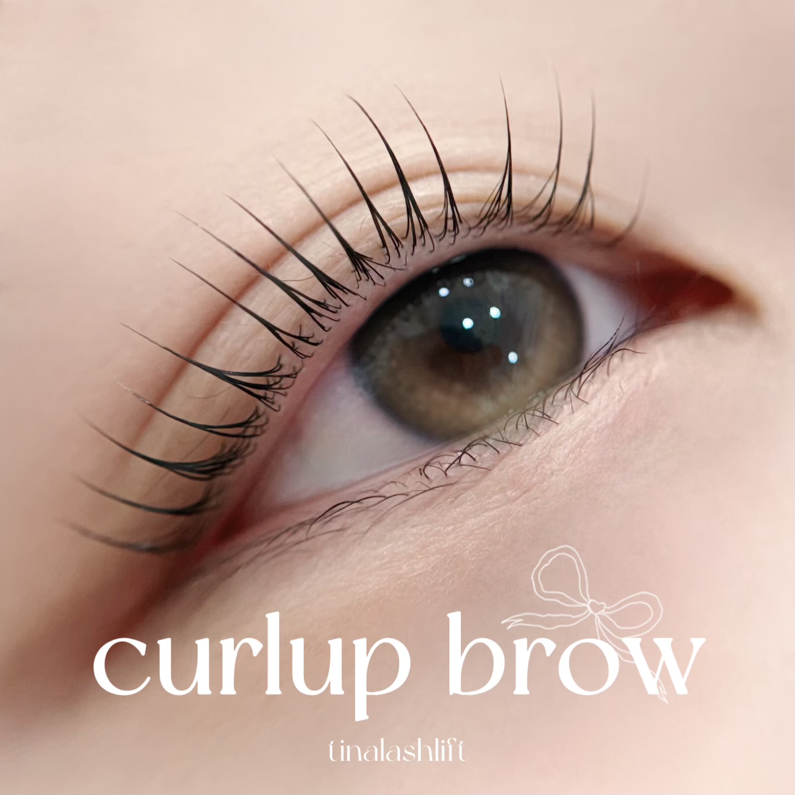 컬업브로우