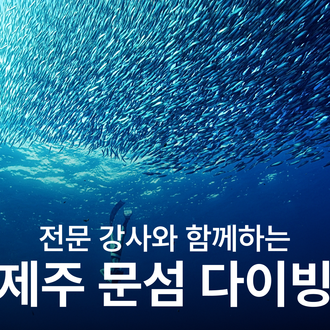 난바다 프리다이빙