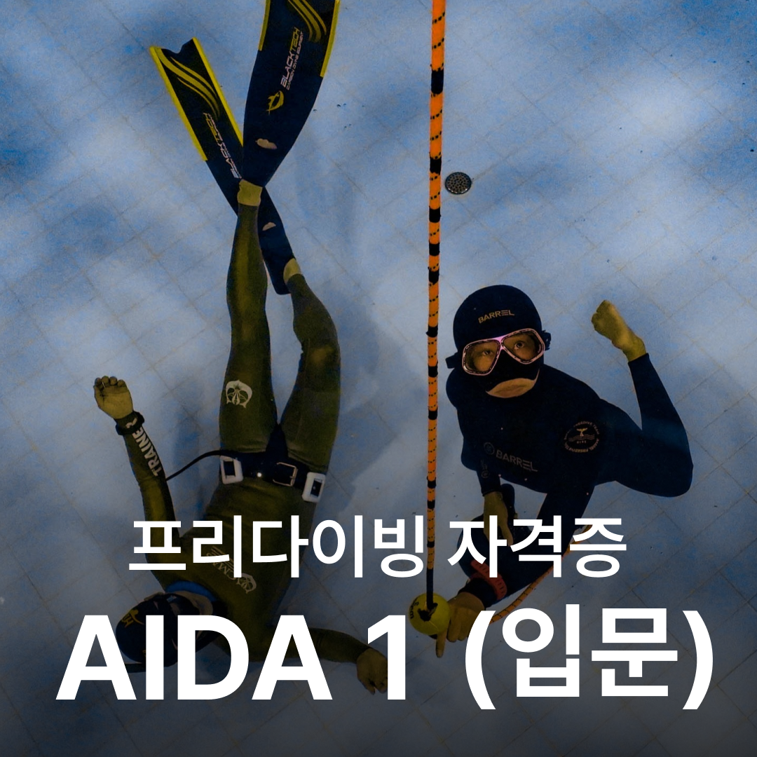 난바다 프리다이빙