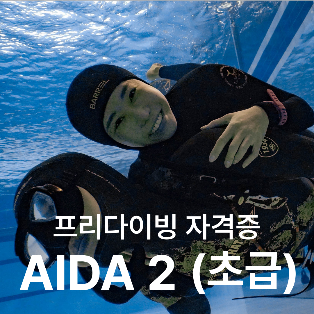 난바다 프리다이빙