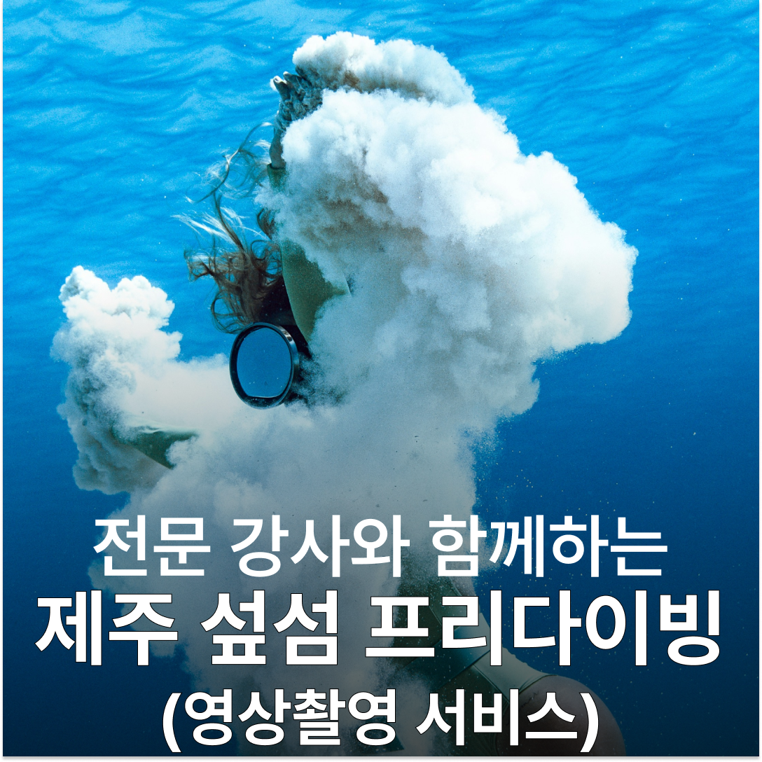 난바다 프리다이빙