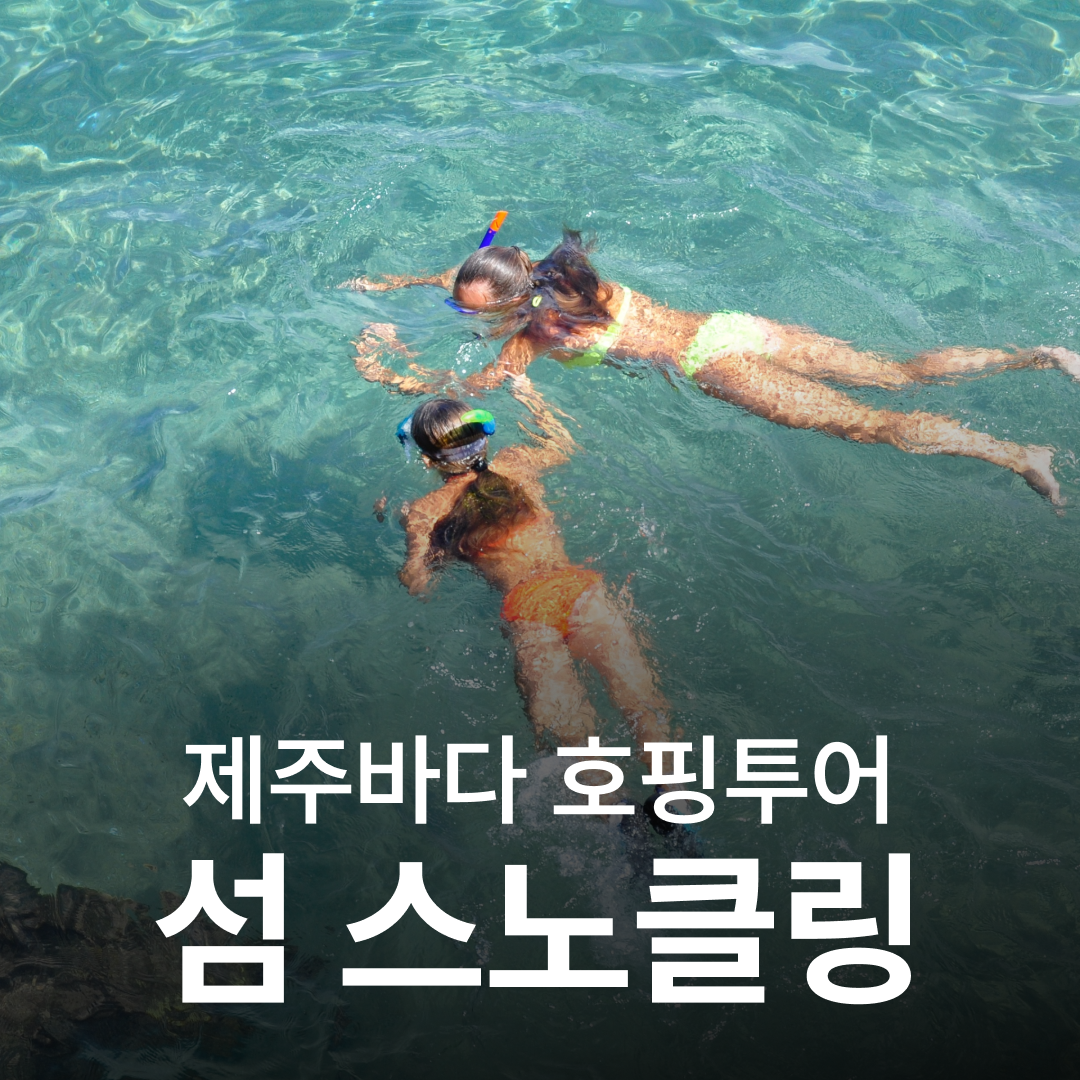 난바다 프리다이빙