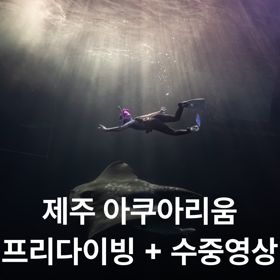 난바다 프리다이빙