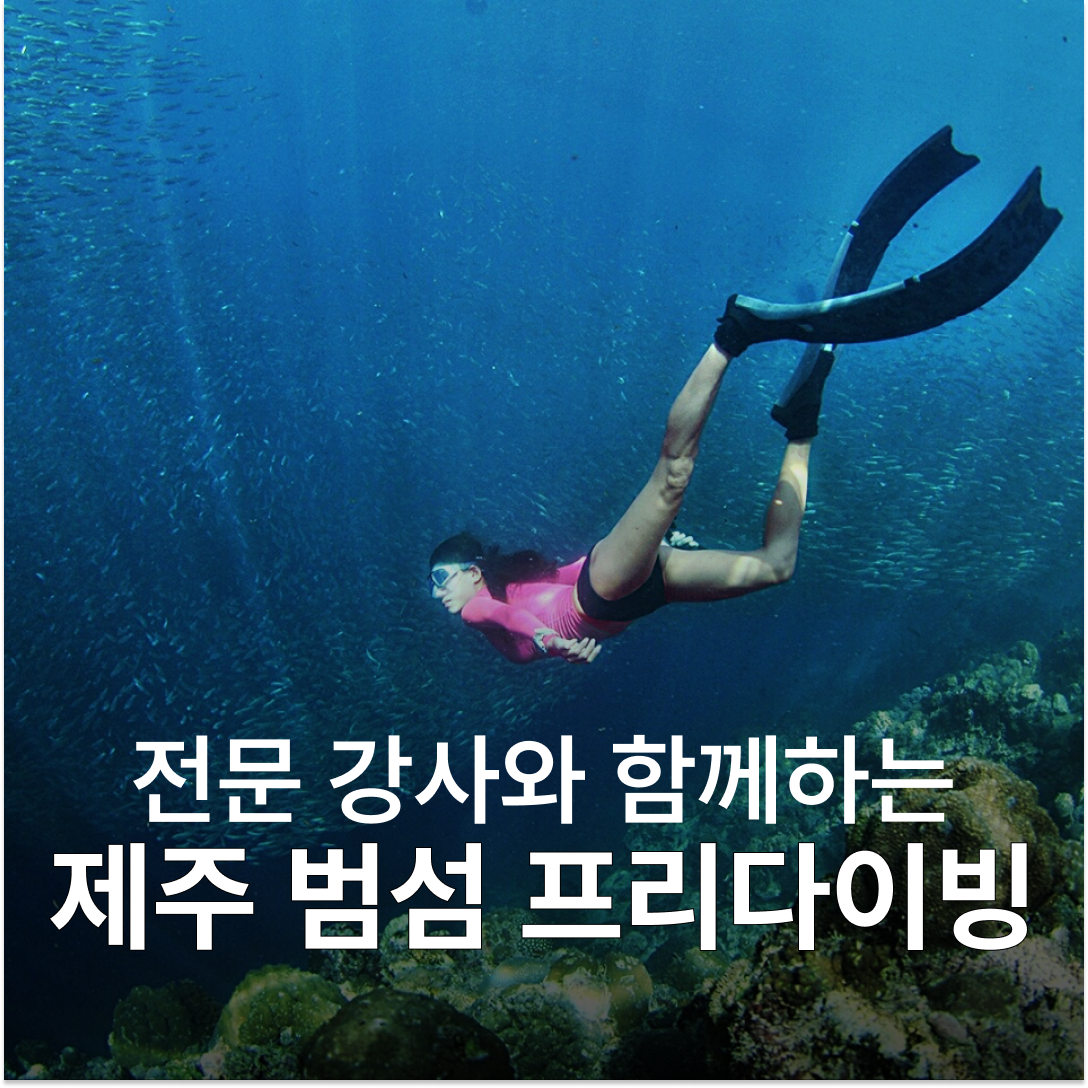 난바다 프리다이빙