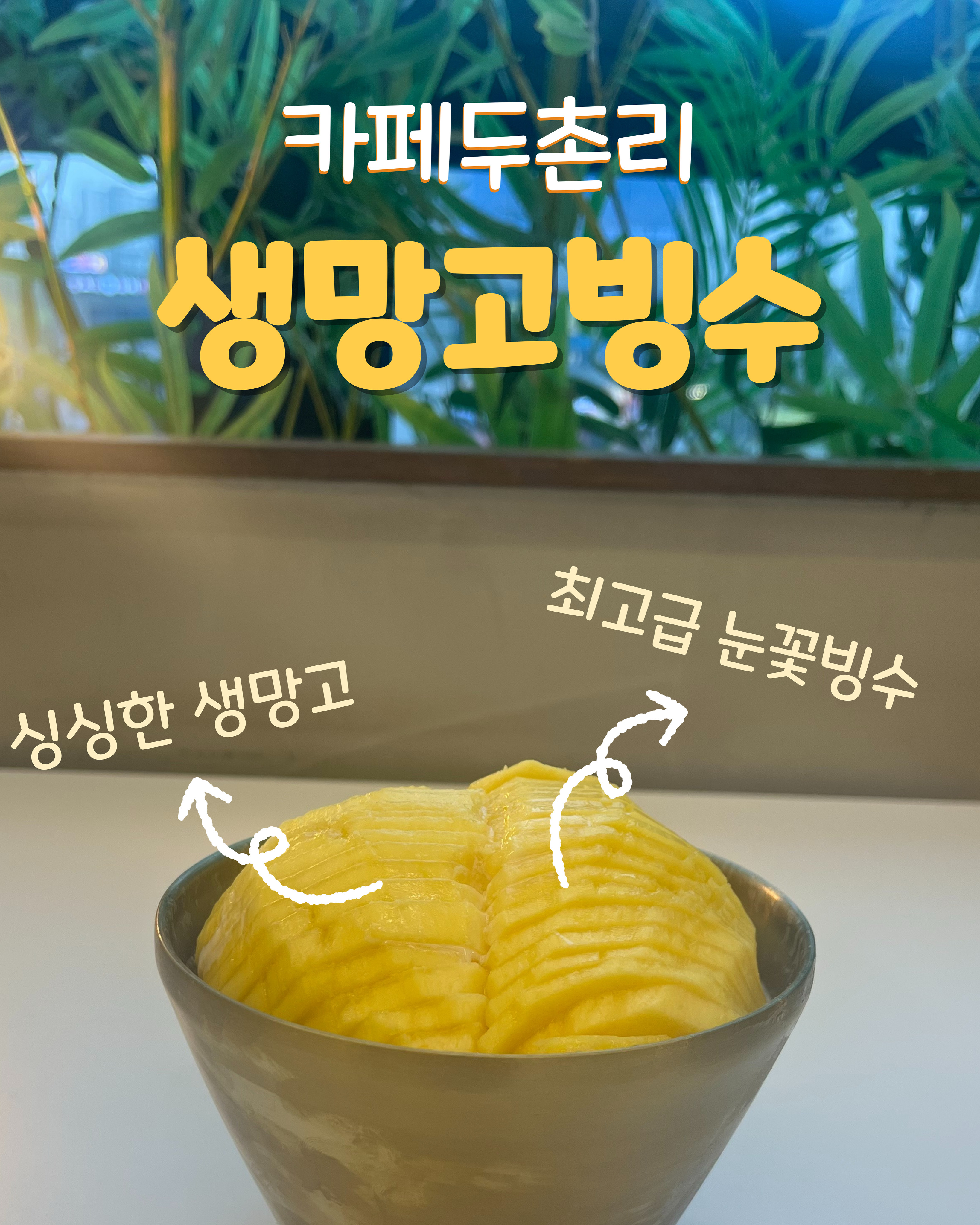 카페두촌리