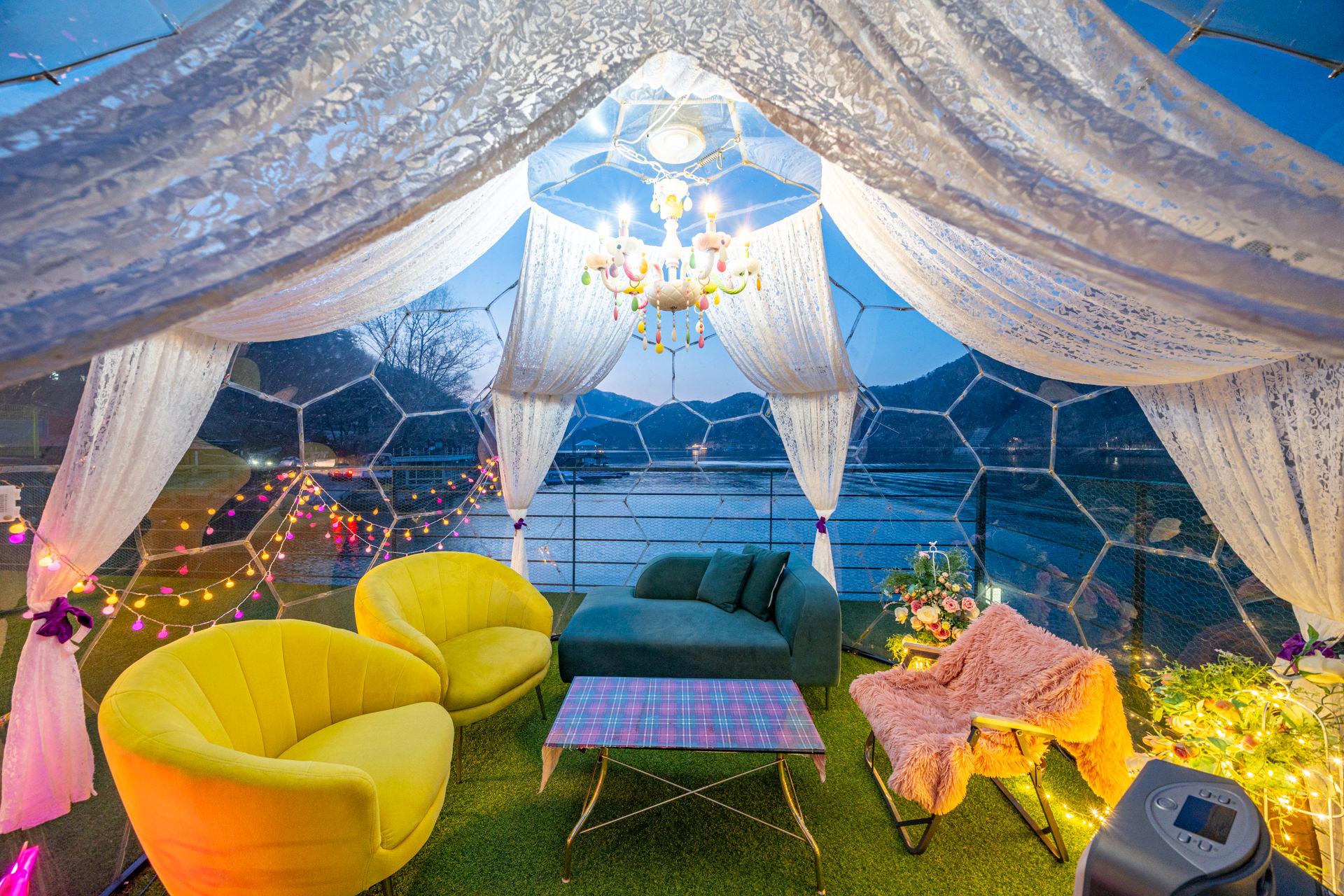 쁘띠독 애견펜션 대표 이미지