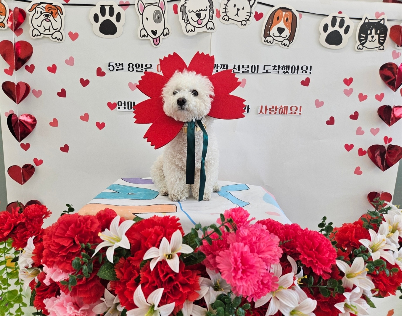 바우라움 대표 이미지