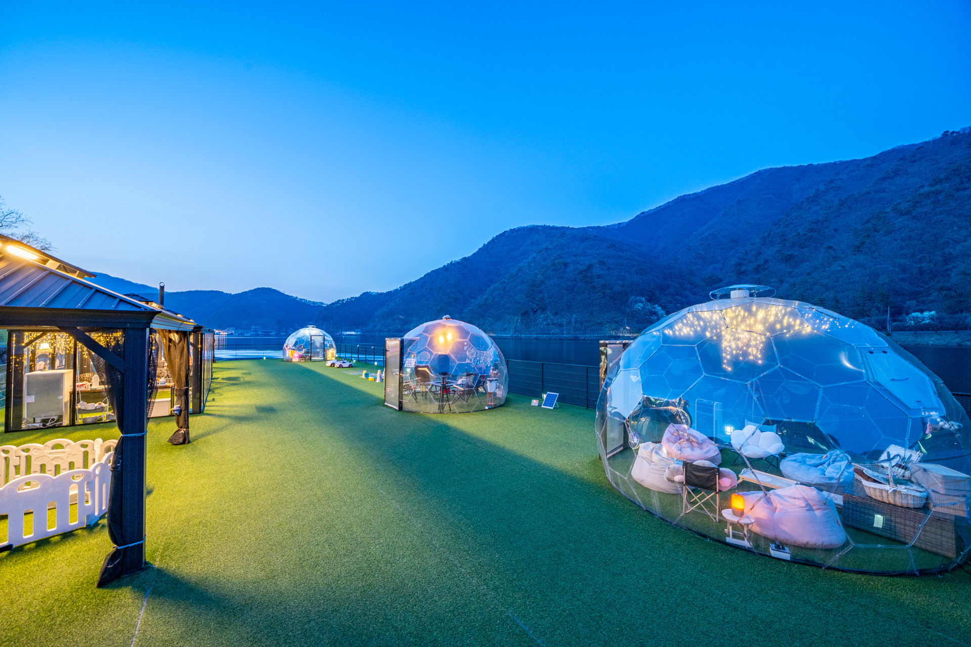 쁘띠독 애견펜션 대표 이미지