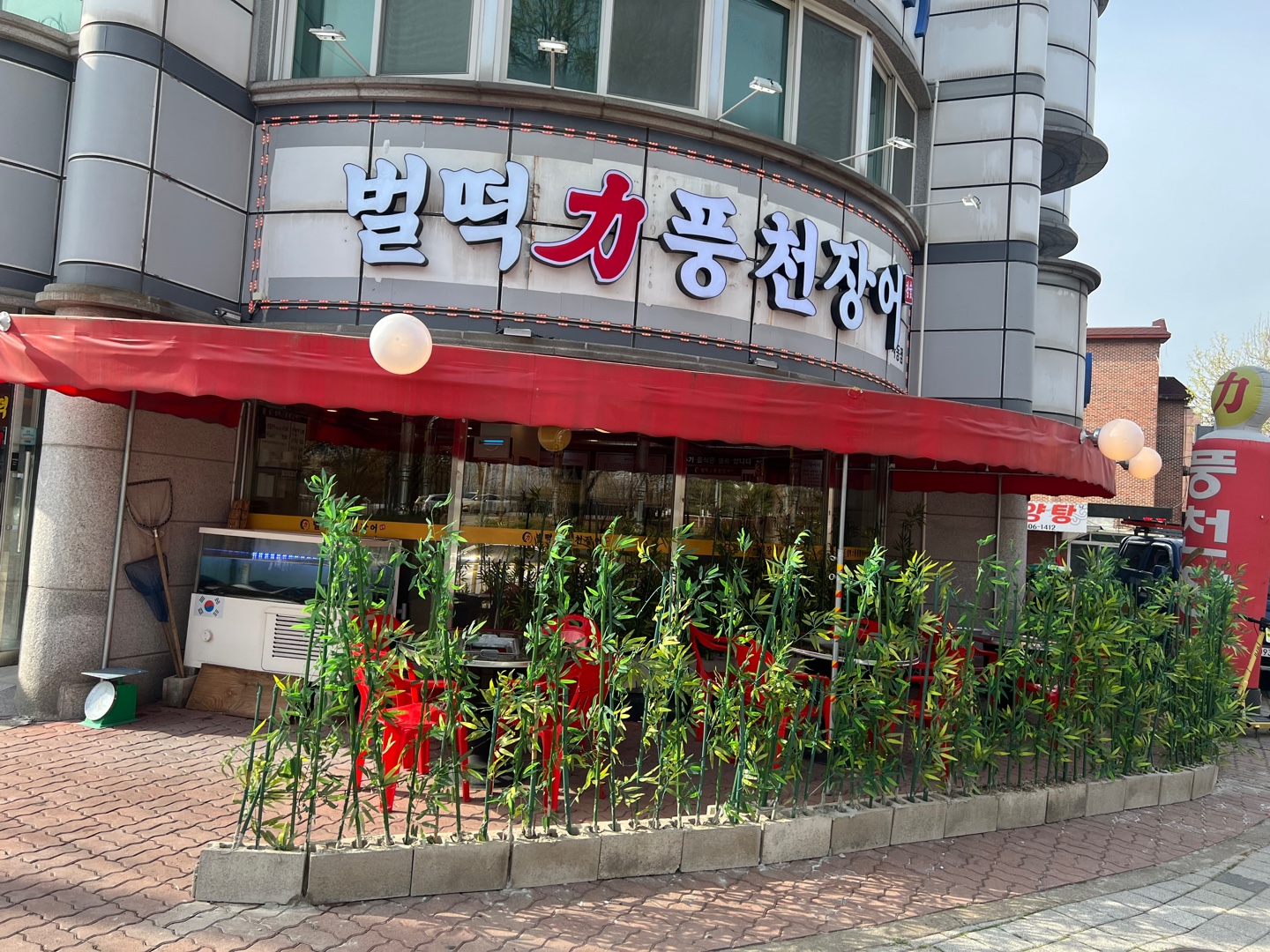 벌떡장어