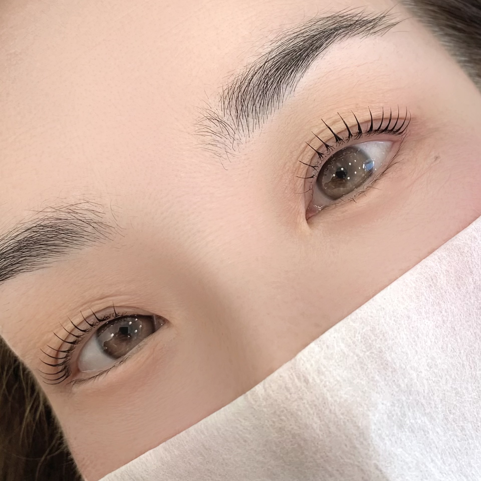 르엘브로우 대표 이미지