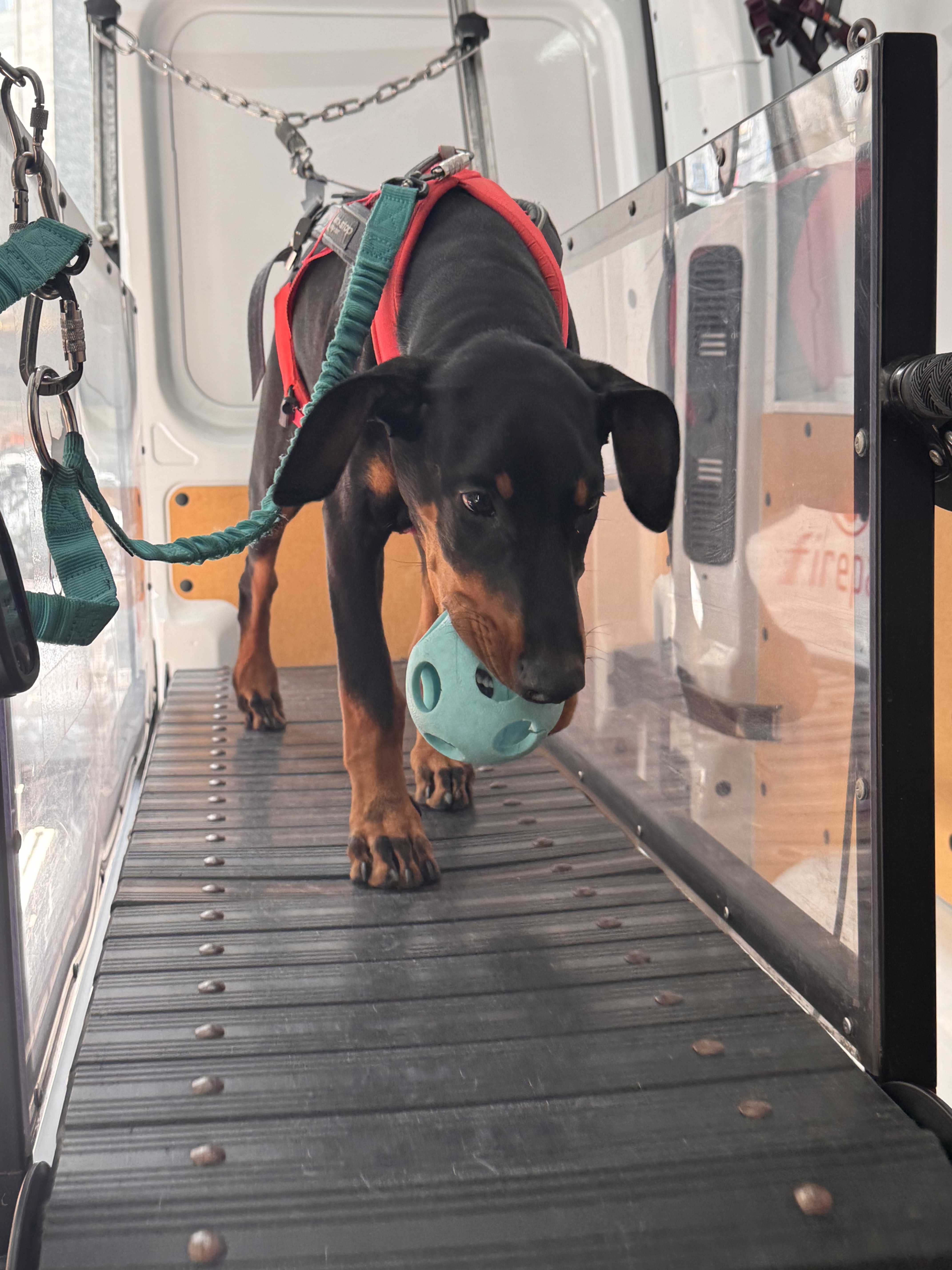 HRC 런 클럽 대표 이미지