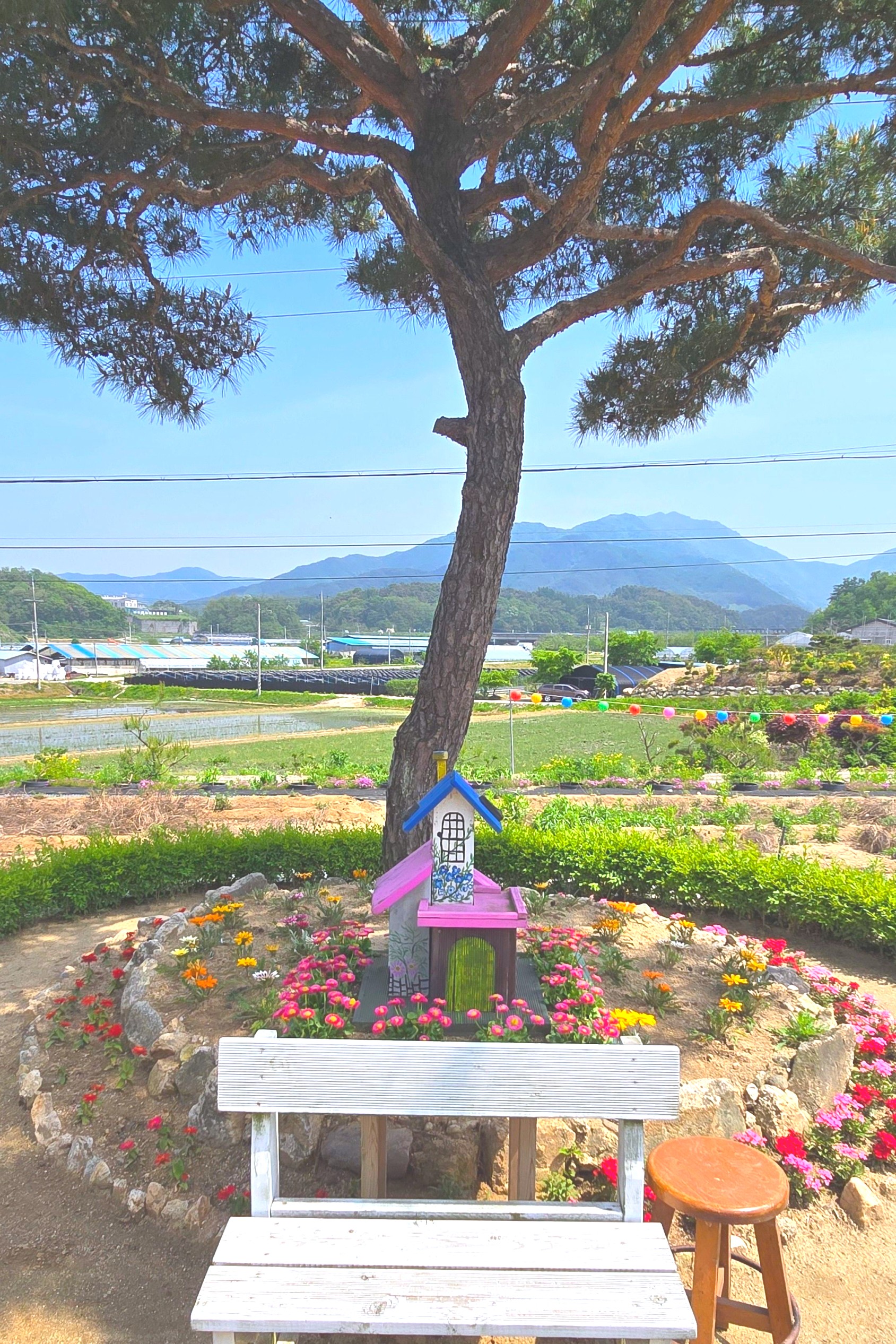 두메향 꽃차 본사