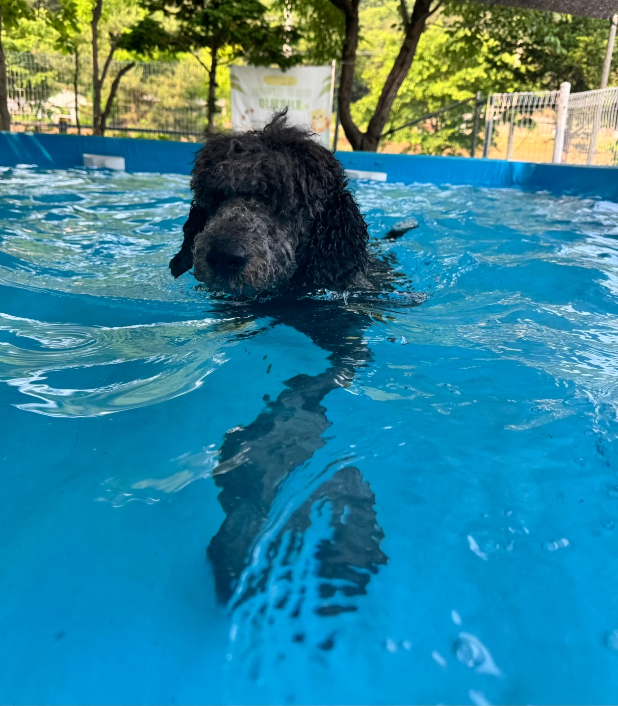 레티피코 대표 이미지