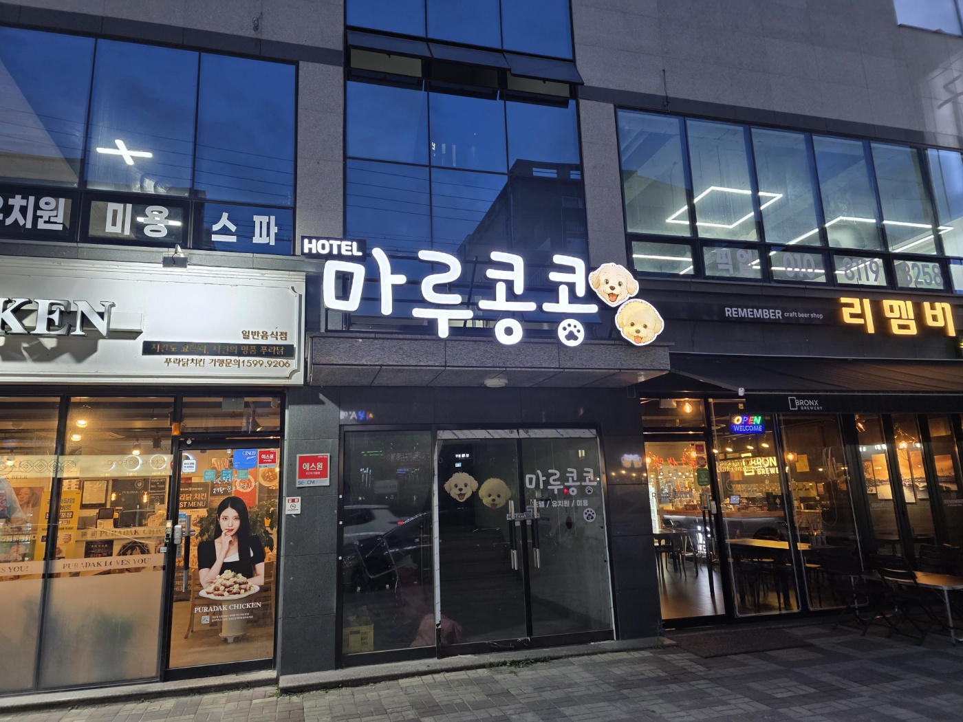 마루콩콩 대표 이미지