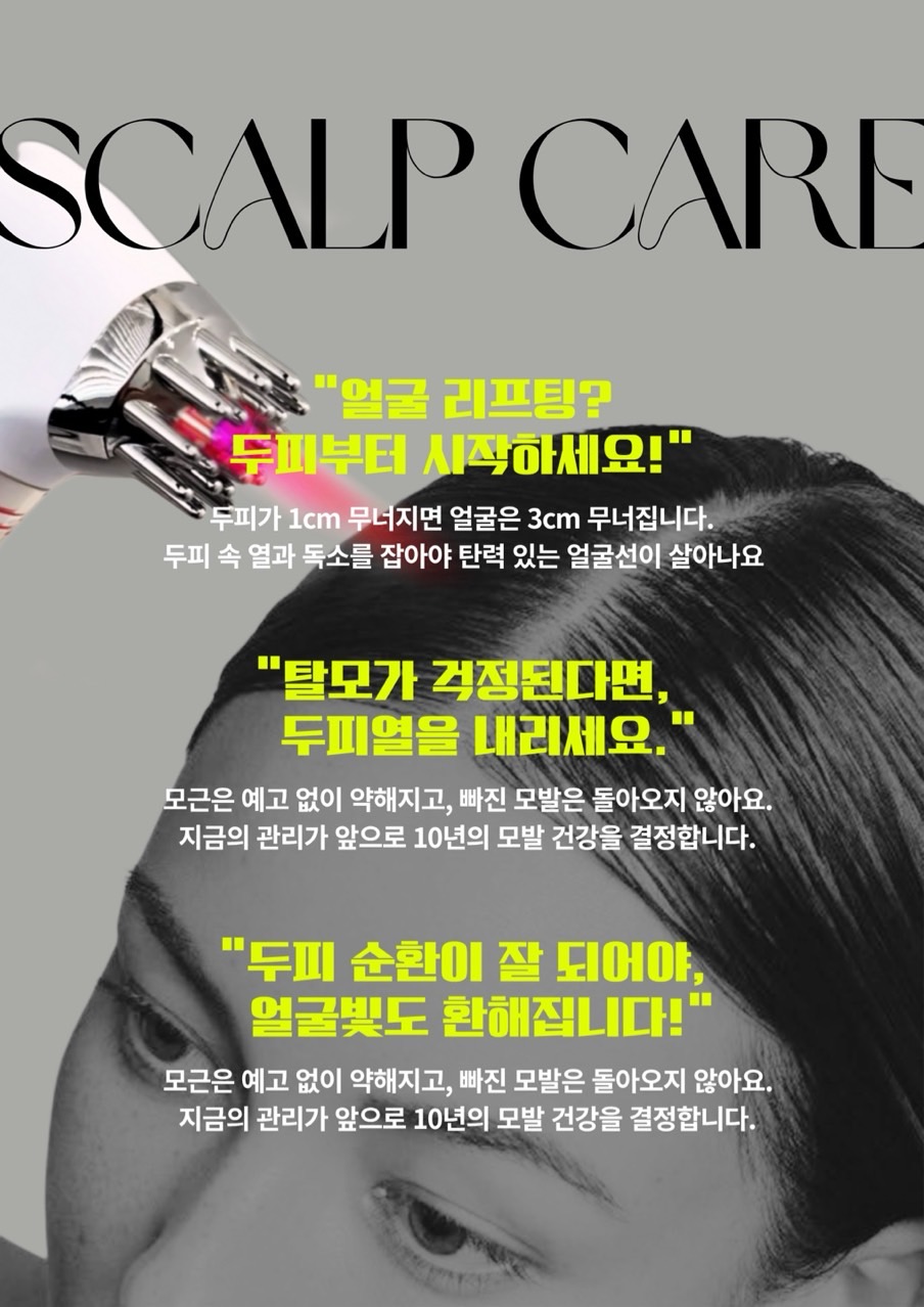 더베르디 photo 5