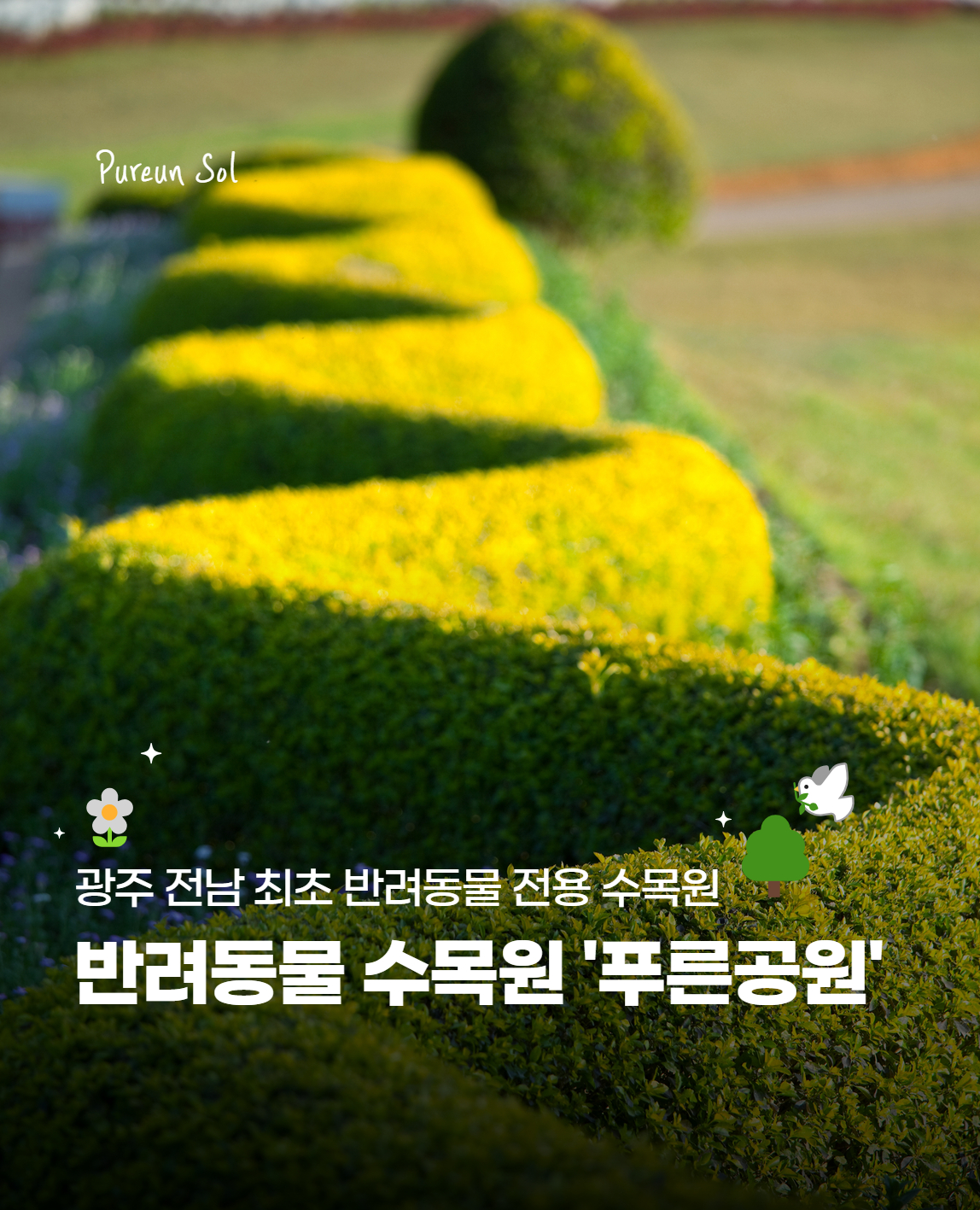 푸른솔