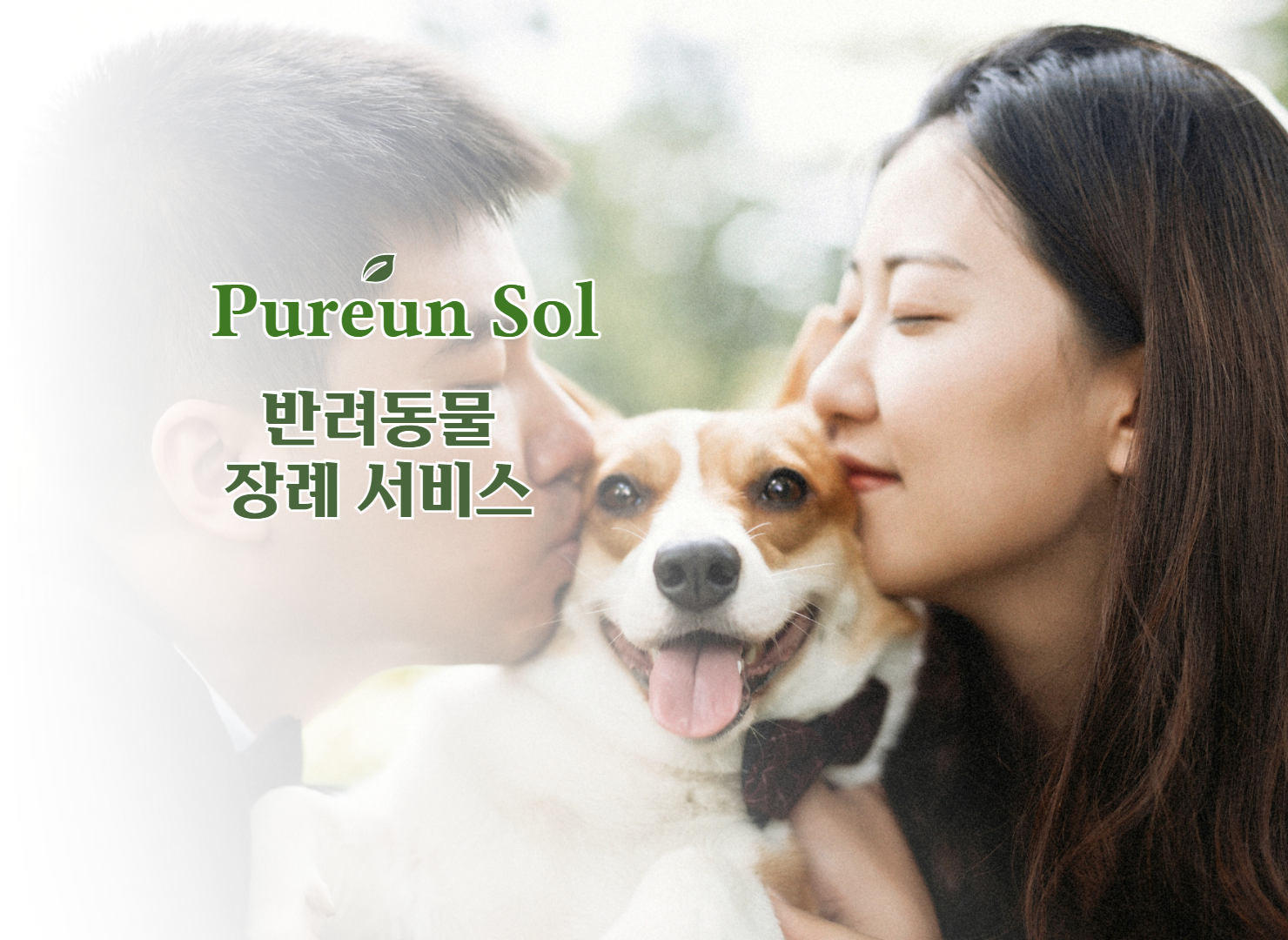 푸른솔
