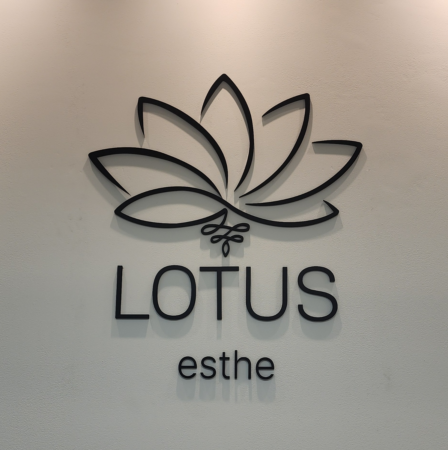 로터스에스떼 대표 이미지