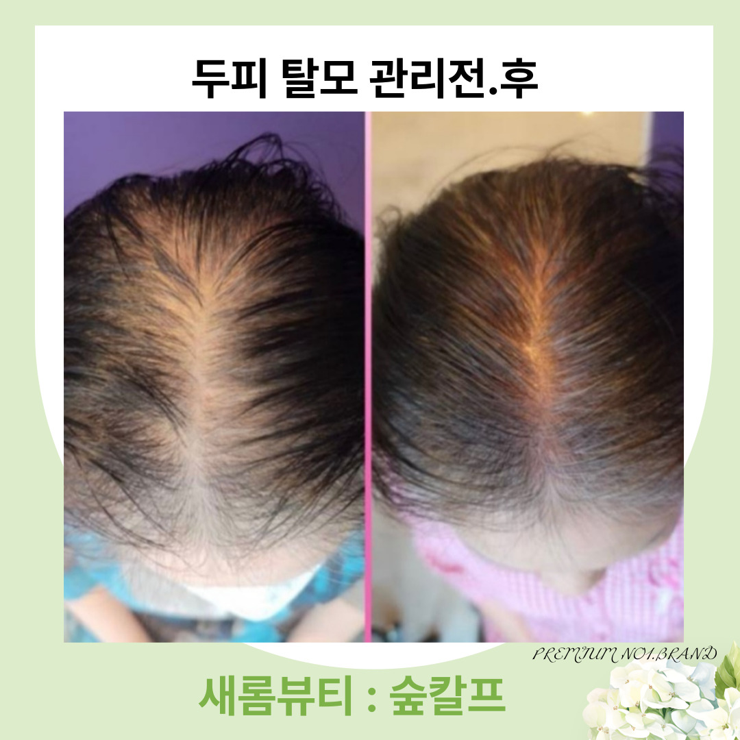 새롬&숲칼프교육센터 제천점 photo 4