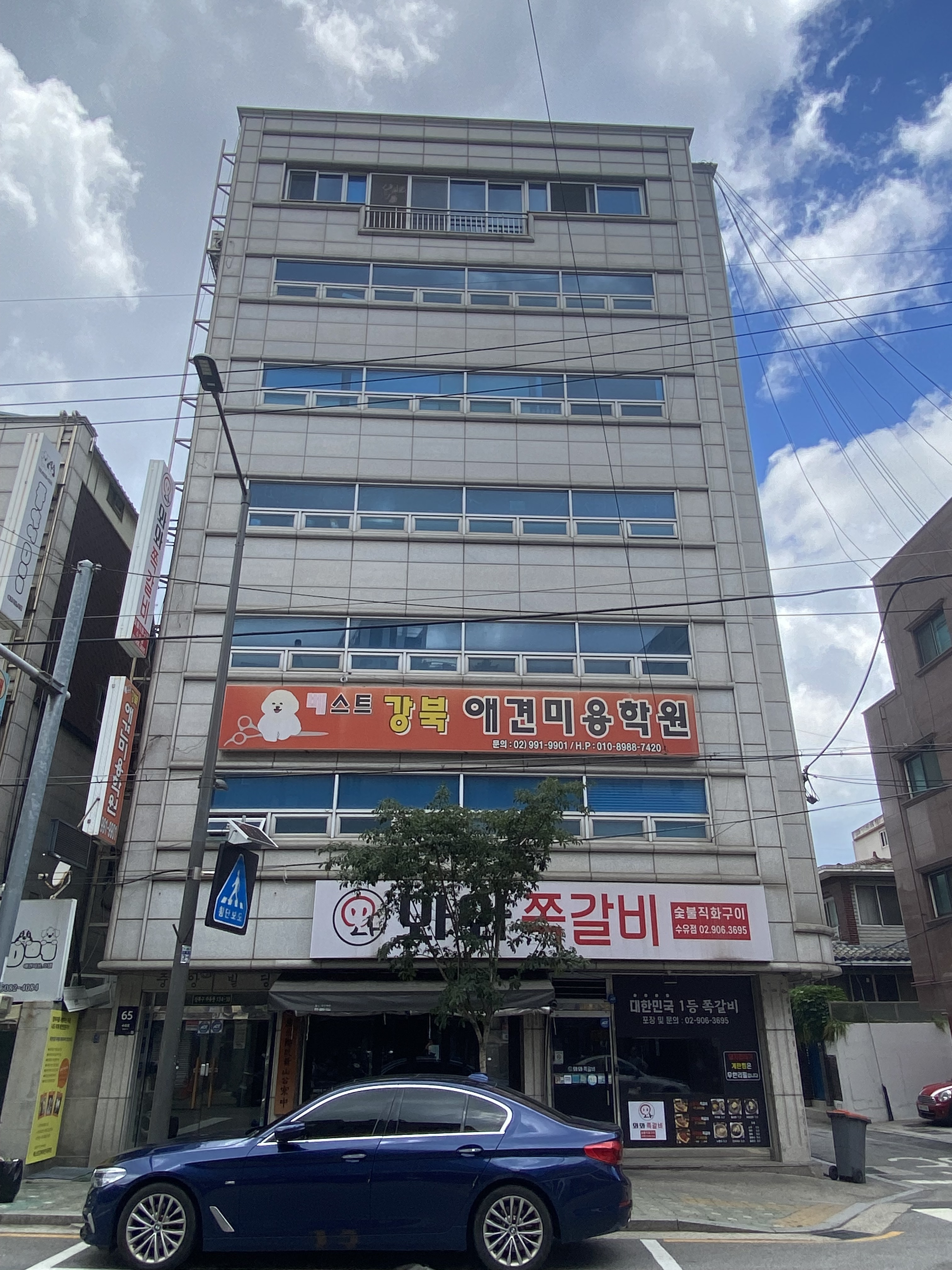 베스트강북애견미용학원 대표 이미지