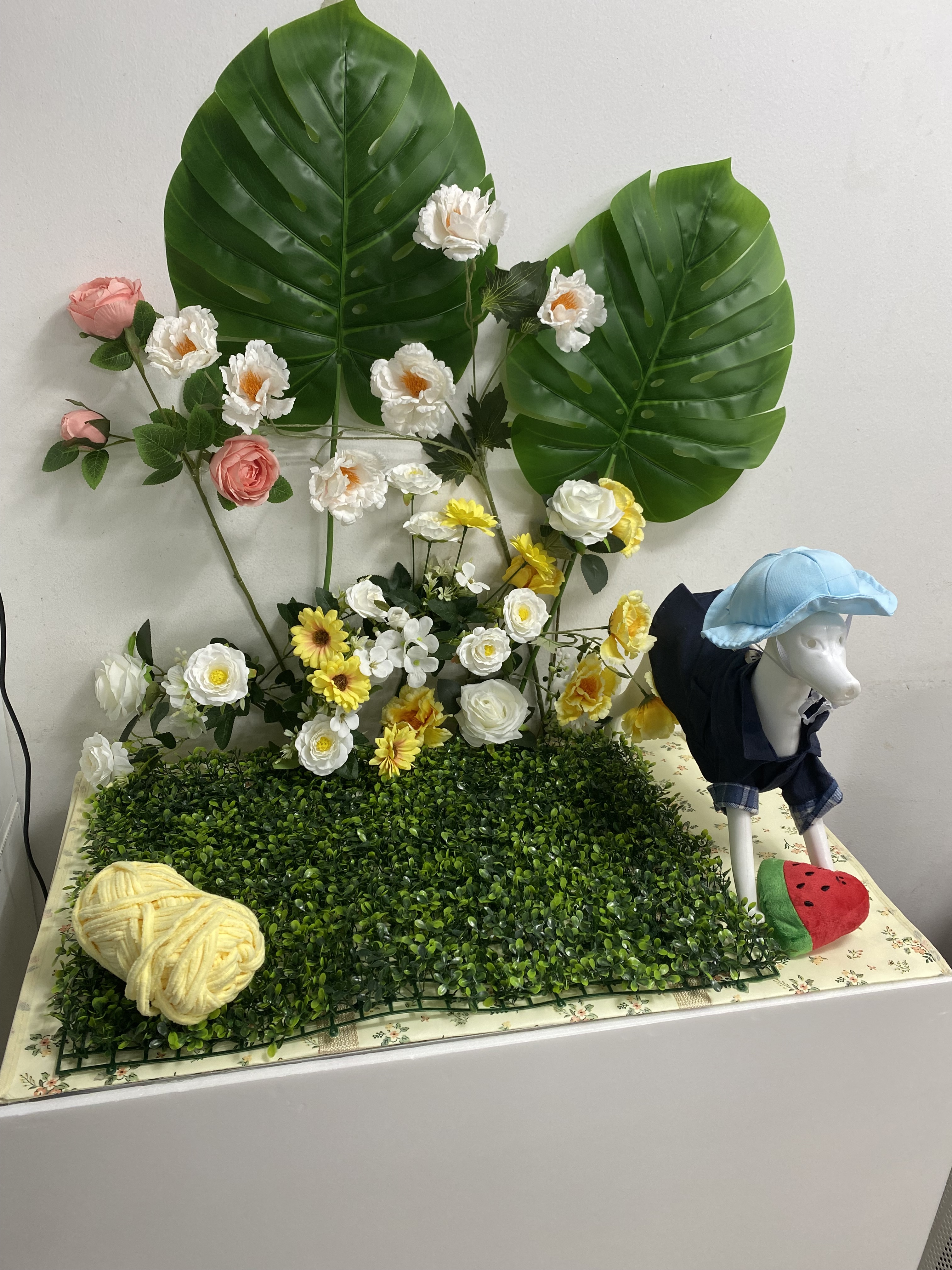 베스트강북애견미용학원 대표 이미지