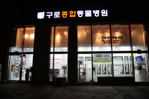 구로종합동물병원 대표 이미지