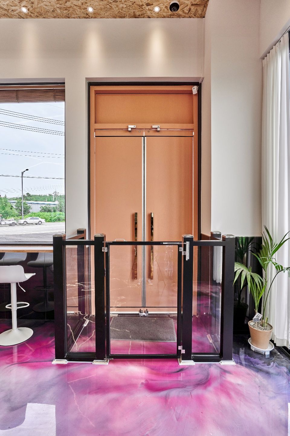 레오나르독 대표 이미지