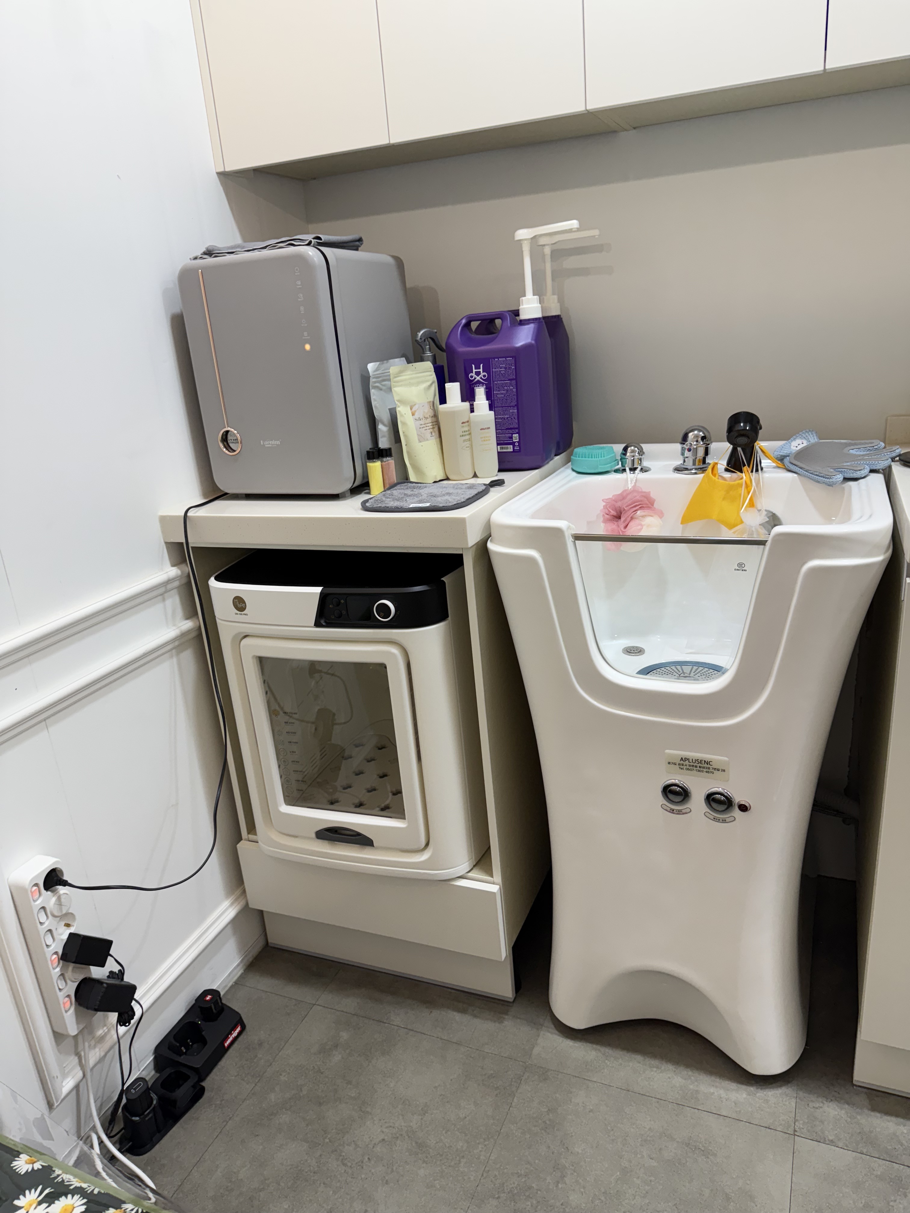 묘그미 대표 이미지