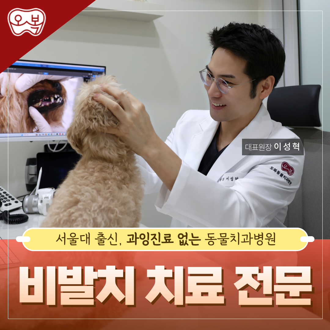 오복동물치과병원 대표 이미지