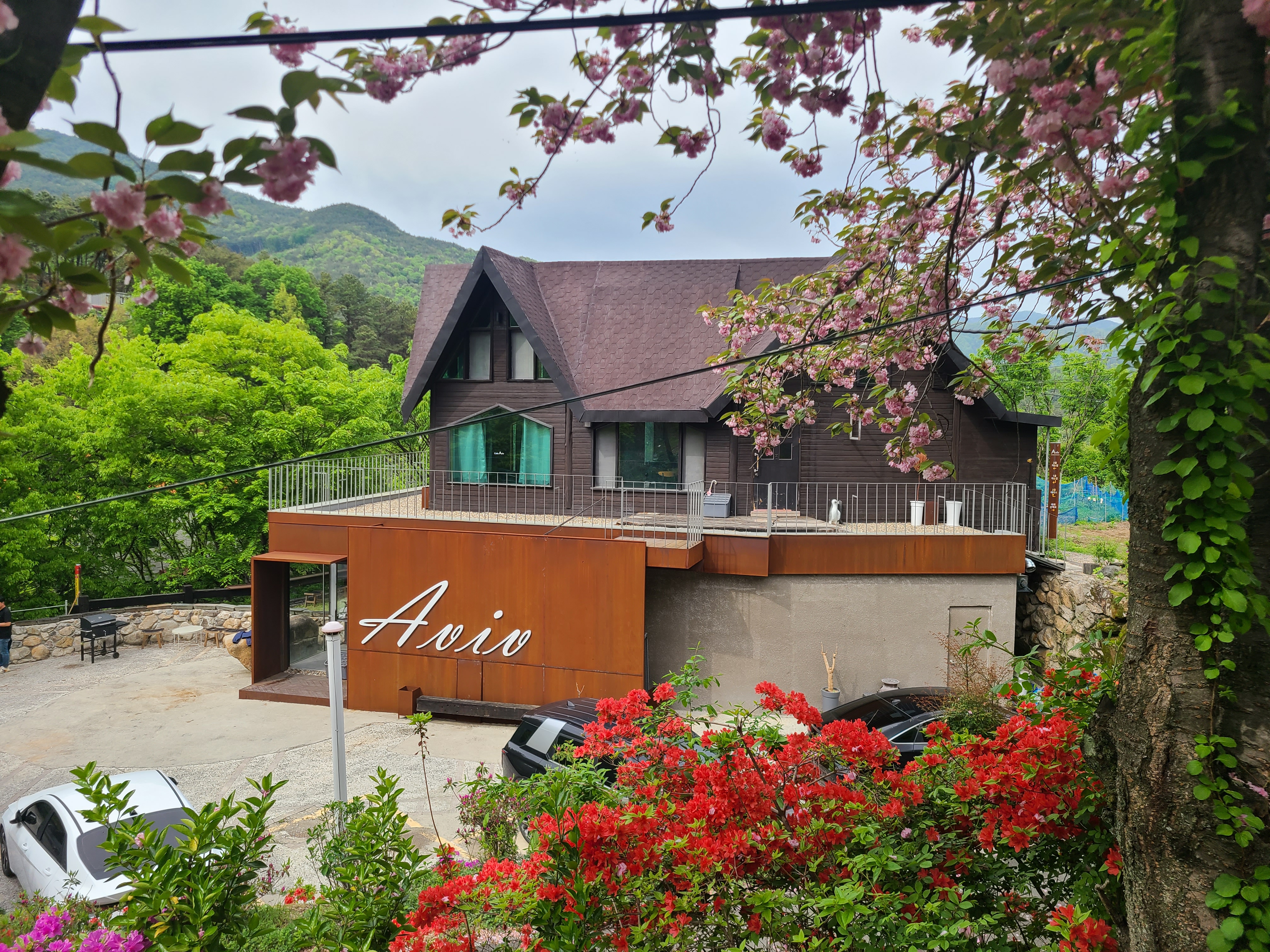 카페 아비브 대표 이미지