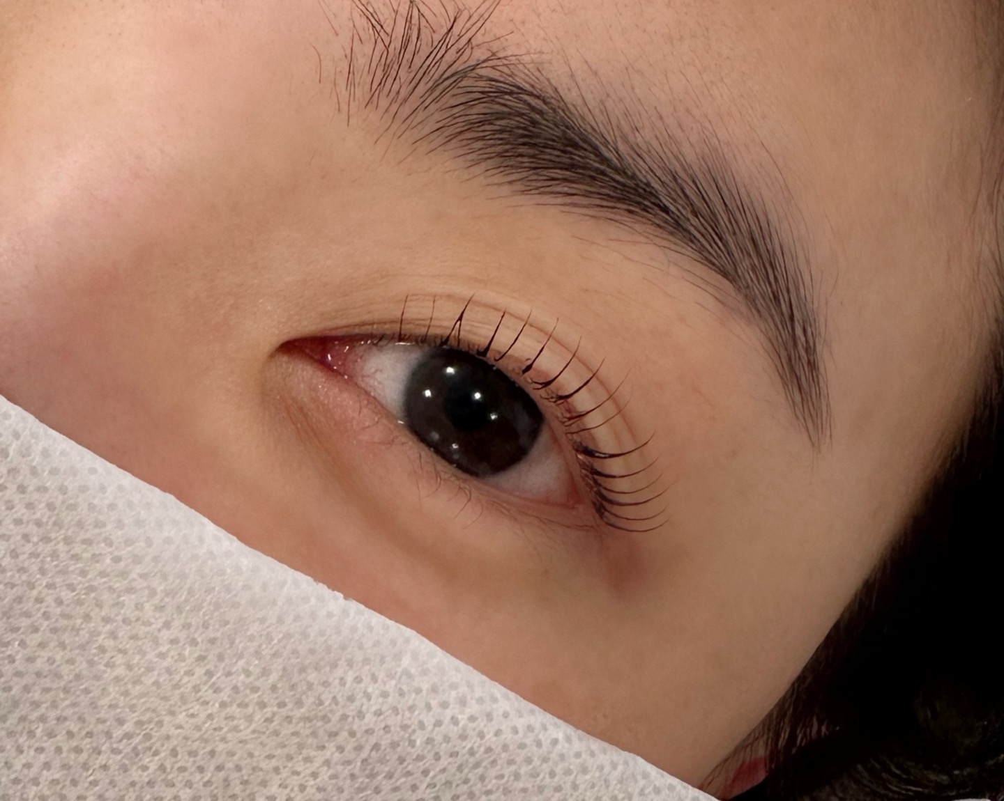 더 데이지 대표 이미지