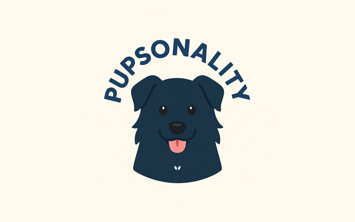 펍스널리티 대표 이미지