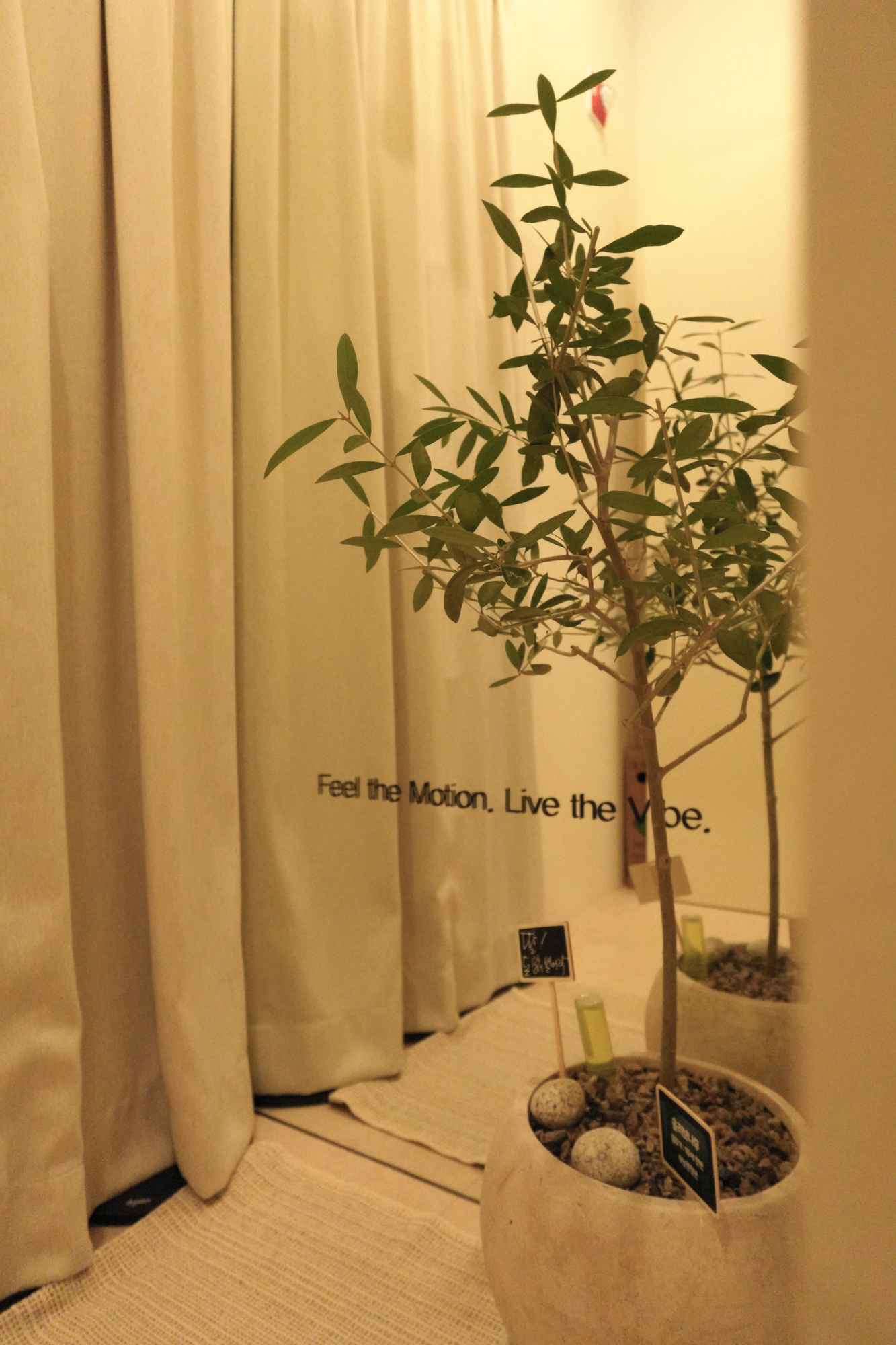 MOVA PT&PILATES 대표 이미지