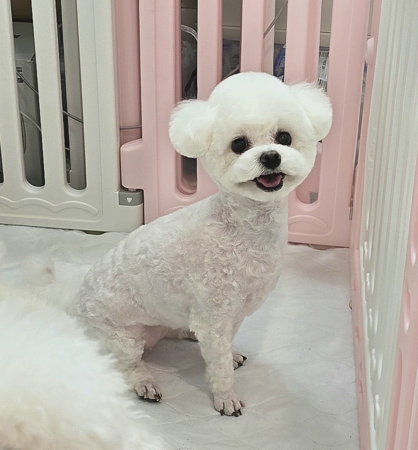 푸르몽살롱 대표 이미지