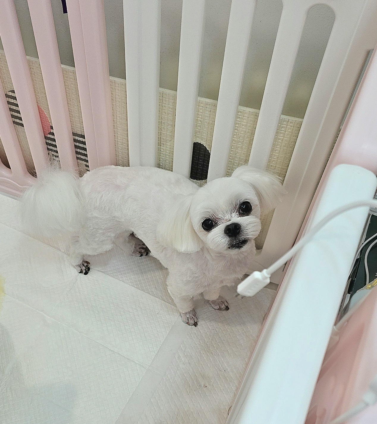 푸르몽살롱 대표 이미지