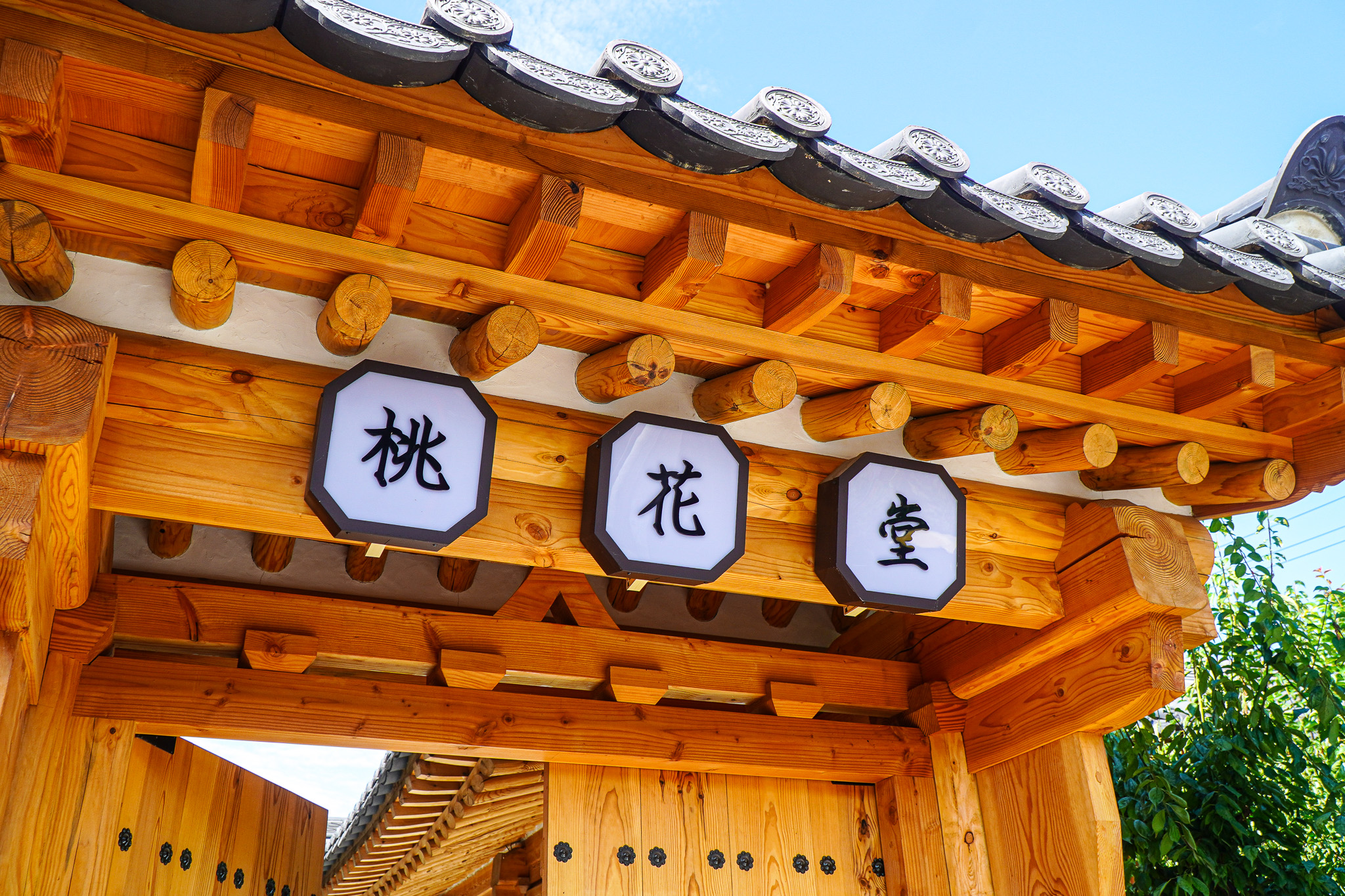 도화당 대표 이미지: 육회 비빔 칼국수