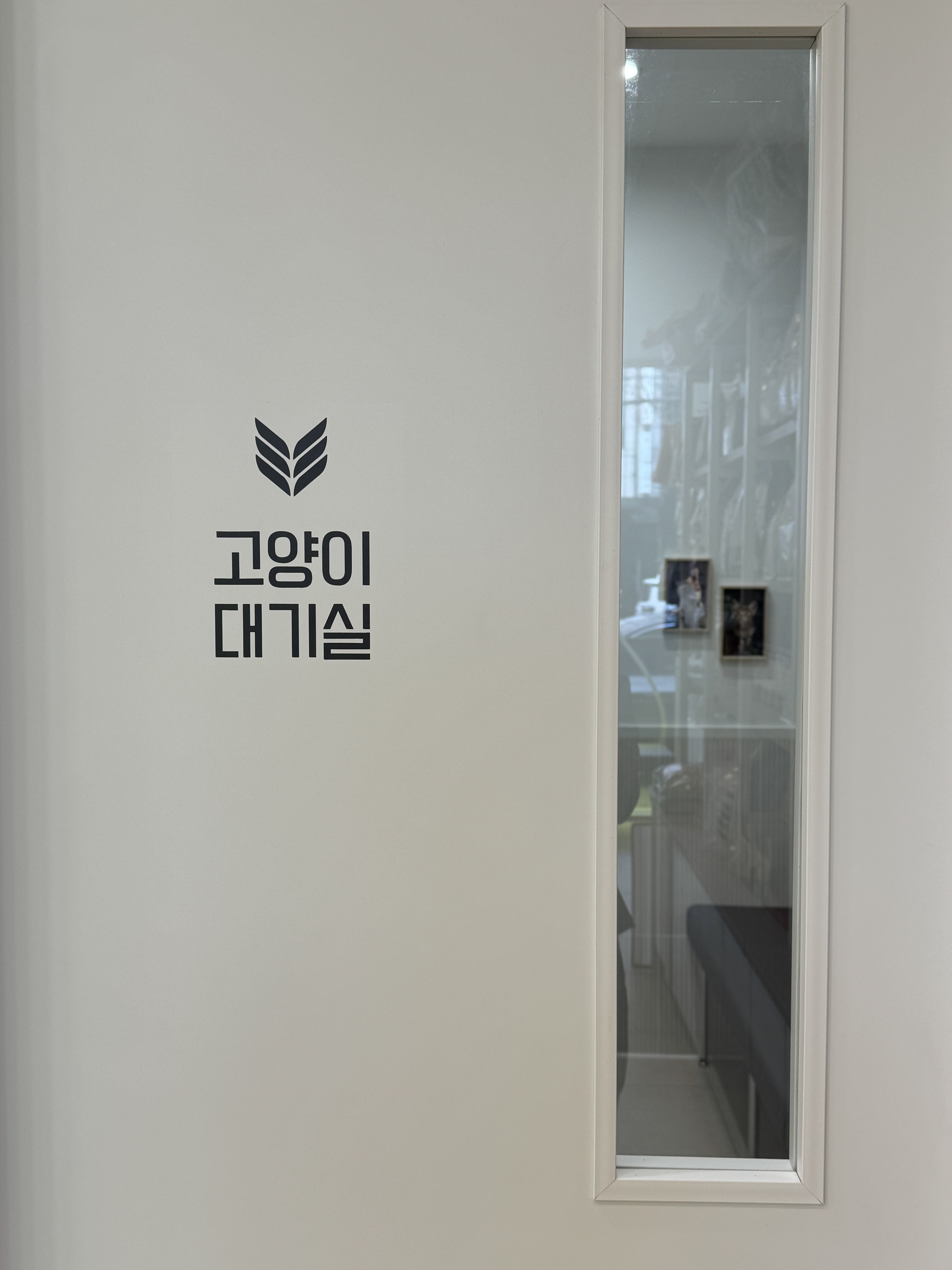 라파동물병원 대표 이미지
