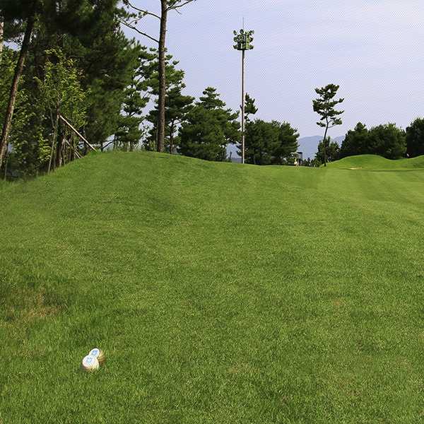 한림안성CC 대표 이미지