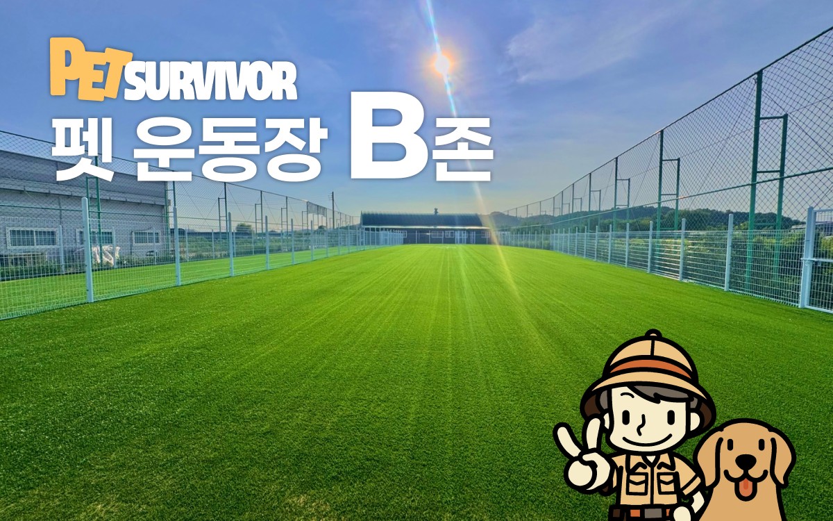 펫서바이버 5