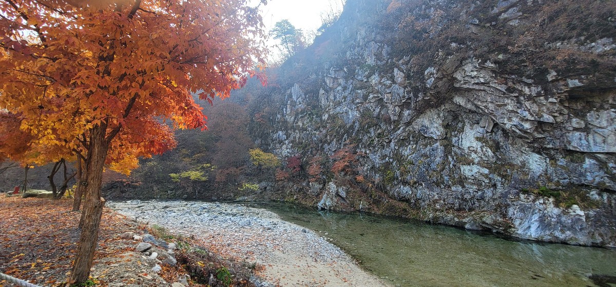 횡성초보캠핑장