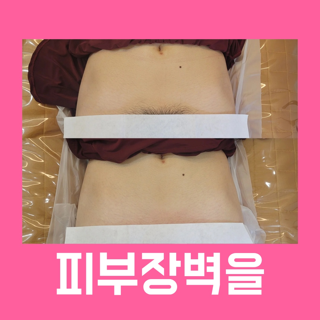 S&H듀얼왁싱 대표 이미지