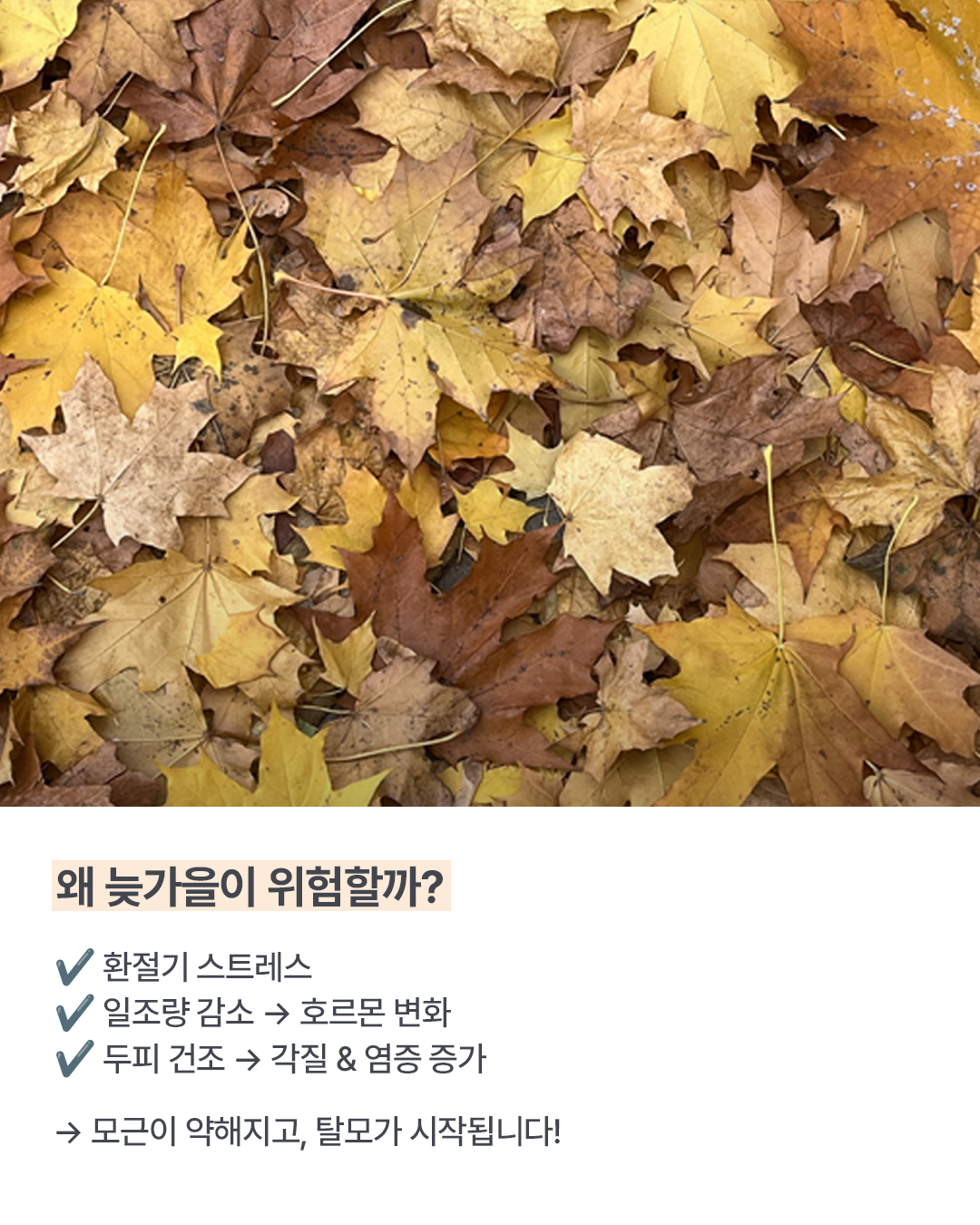 웰킨 두피탈모센터 종로점 대표 이미지